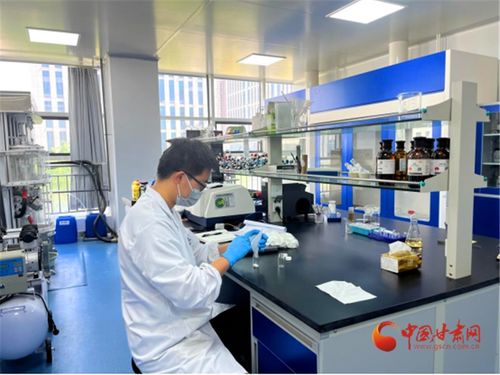 蘭州高新區(qū) 以生物醫(yī)藥為筆，重繪西北產(chǎn)業(yè)基因圖譜的技術(shù)服務(wù)新篇章